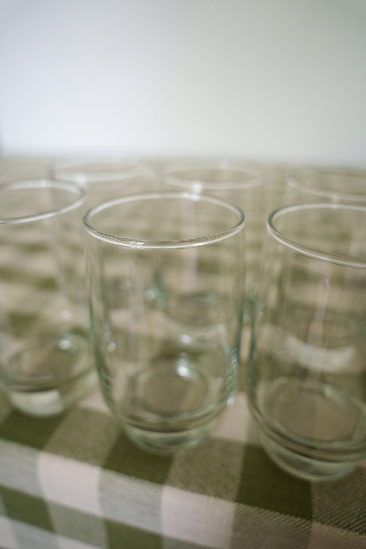 Scout Glass (6)