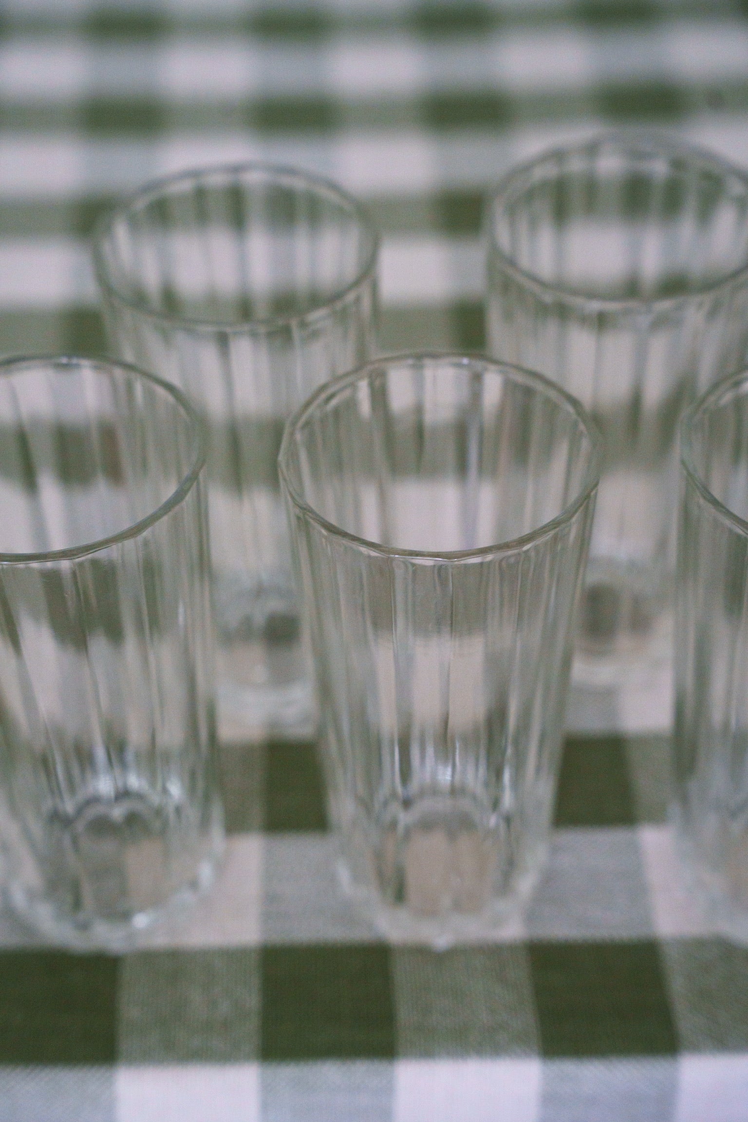 Genevieve Glass (5)